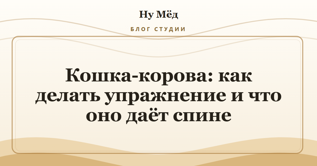 Кошка-корова: как делать упражнение и что оно даёт спине