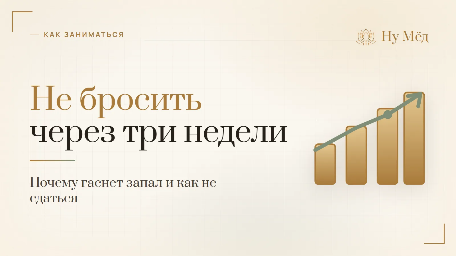 Как начать заниматься и не бросить через три недели - разбор студии «Ну Мёд»
