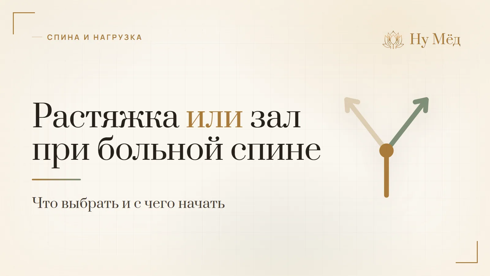 Растяжка или тренажёрный зал при больной спине: что выбрать - разбор студии «Ну Мёд»